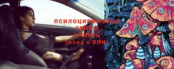 трава Абаза