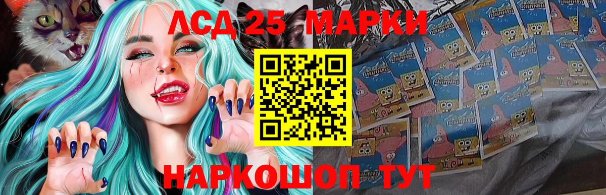 blacksprut ссылки  Лсд 25 экстази  Сокол  Вход с VPN  Лсд 25 экстази ecstasy 