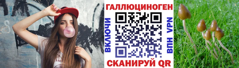 Галлюциногенные грибы GOLDEN TEACHER  Сокол 